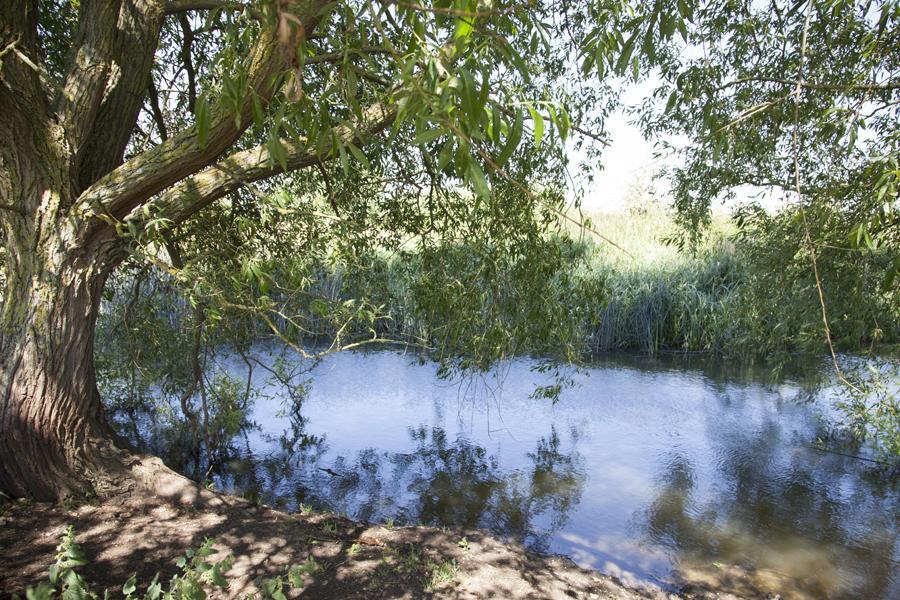 Abbey Farm Glamping & Cottage Thame Rom bilde