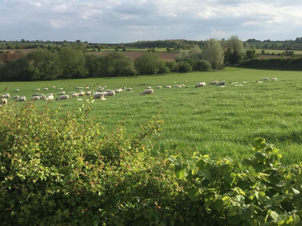 Abbey Farm Glamping & Cottage Thame Eksteriør bilde