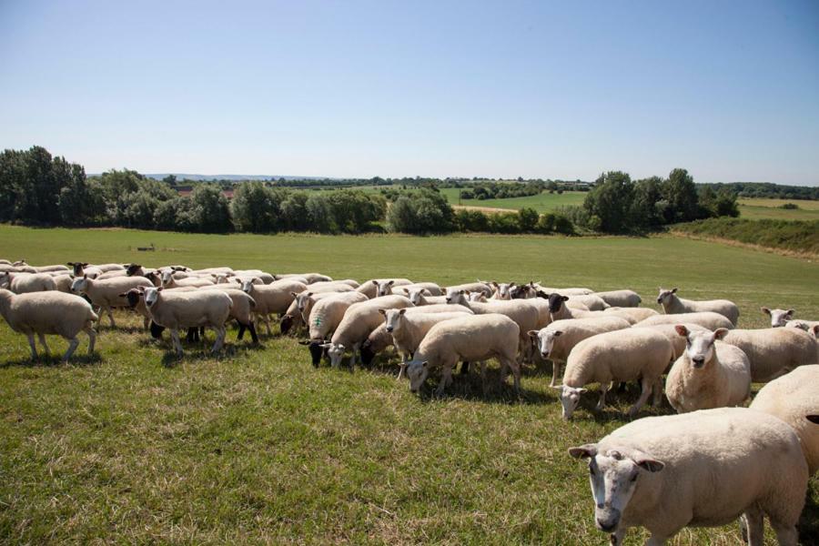 Abbey Farm Glamping & Cottage Thame Eksteriør bilde