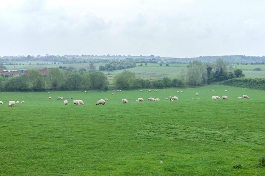 Abbey Farm Glamping & Cottage Thame Eksteriør bilde