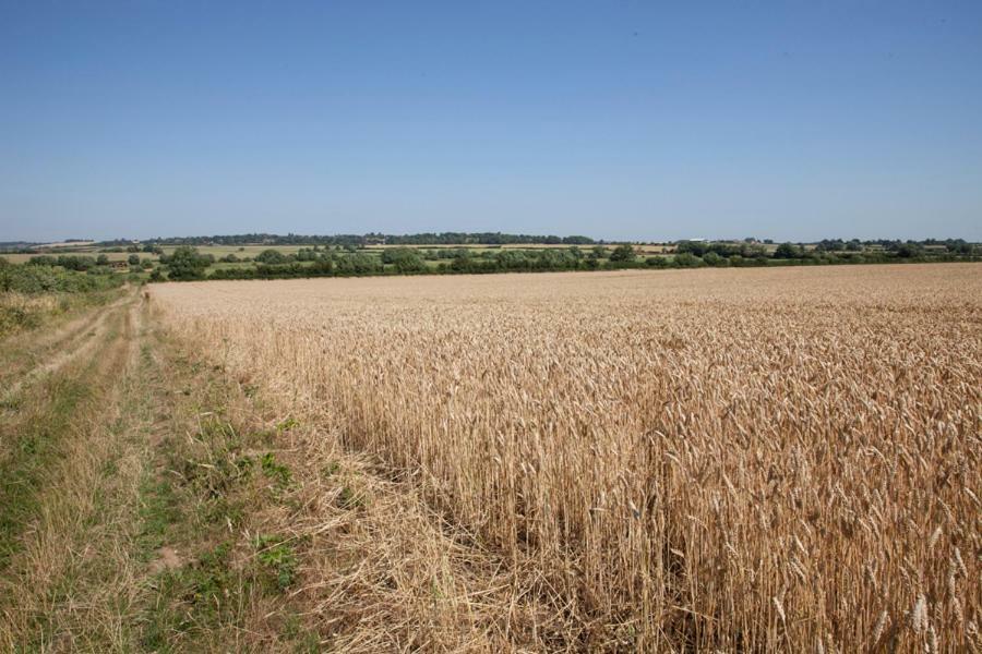 Abbey Farm Glamping & Cottage Thame Eksteriør bilde